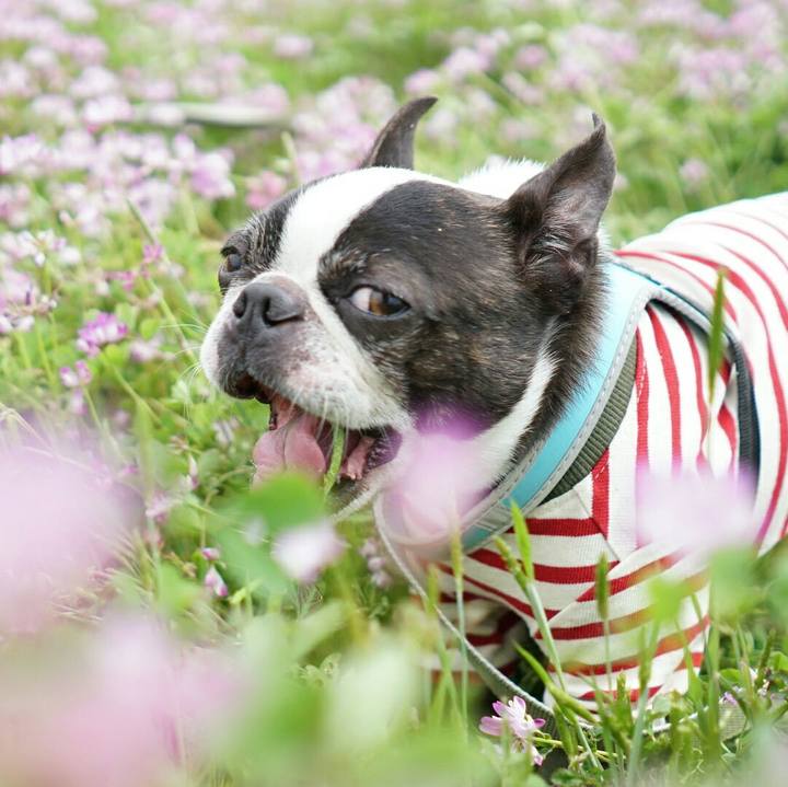 2c49ae4c d97d 4930 bc57 24c2b750f23c