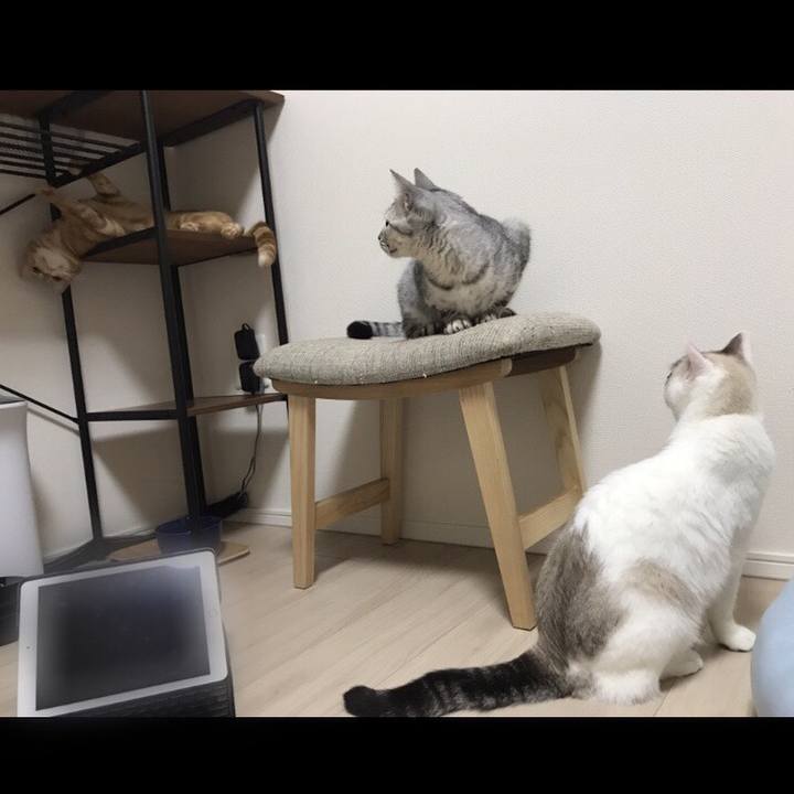 2c49cd53 5883 4a09 b057 199c5557526a