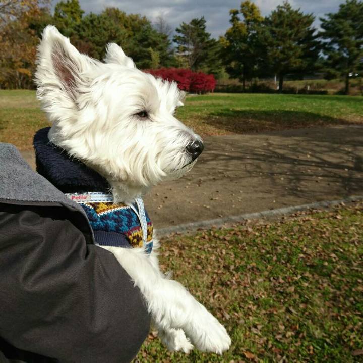 2c49fecf 6a71 4830 ae77 184772344d13