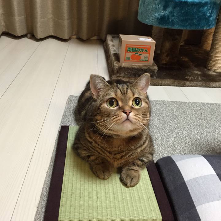 2c4b03b8 3fec 4bcc 8531 da58d4ae8c20