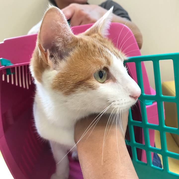 2c4bfff7 aa53 4aba 8fb3 4c754069a5b8