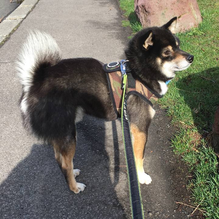 2c4c49be be12 48f6 9d2e 1cf570428d64