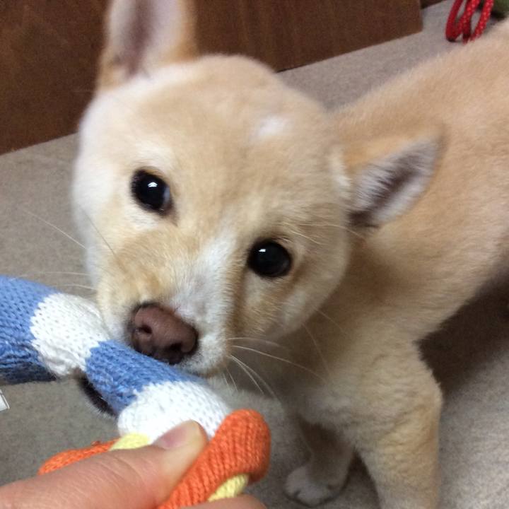 2c4c9c24 a06a 4462 876e 27f45c60cb90