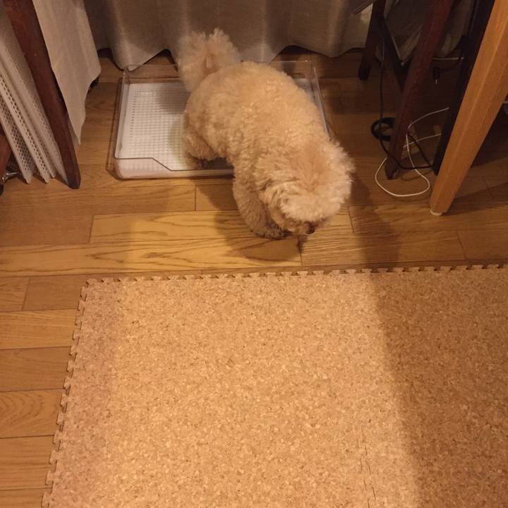 2c4ca44f 5c25 4960 b98c d0388bd11075