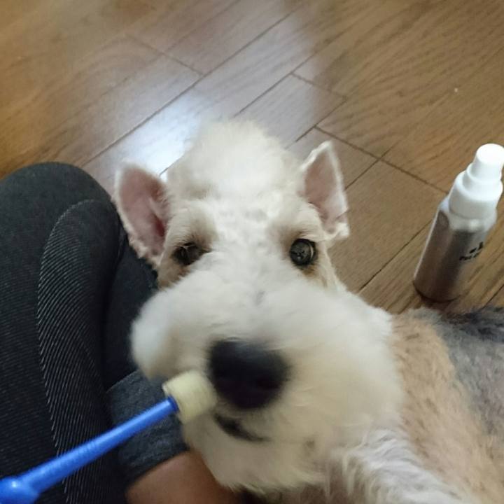 2c4e6dd6 d50c 46de 809d 30a9adc70359