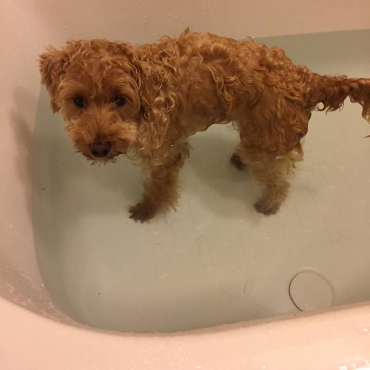 2c4e969f 8765 40a2 8950 87ea9be60965