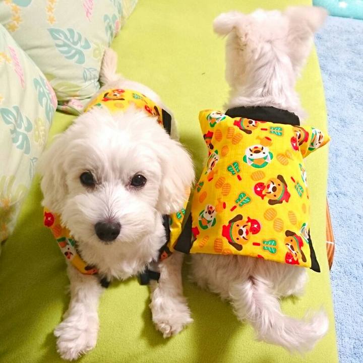 2c4e9e43 0385 4df0 851e 5a5865232577