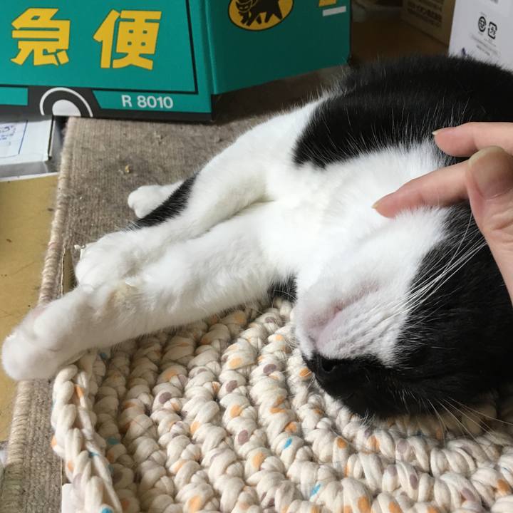 2c4ed257 aaf4 4763 a911 740bd7c3b957