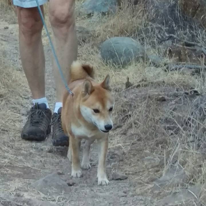 2c4ed9d0 c182 4f64 95ad c30b65ac102d