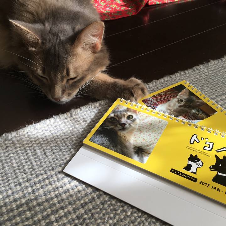 2c4ffbd9 f1ae 4336 8c23 1a8f7c07eb1e