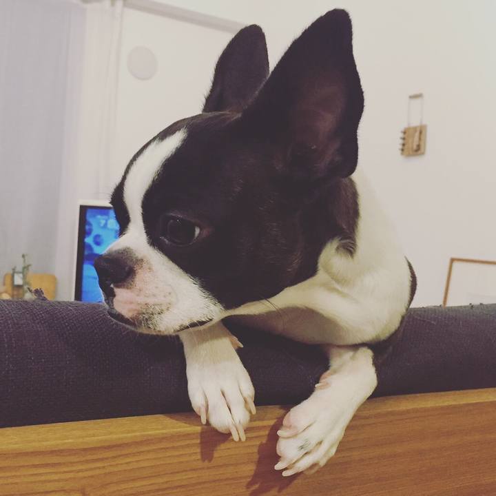 2c4ffd16 b8ba 4709 9897 1fa9520069b9