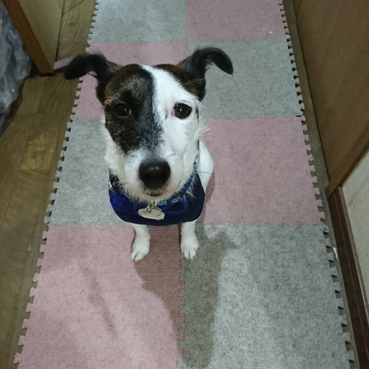 2c5014f7 5dcf 4b6b ad6e 49945edfec53