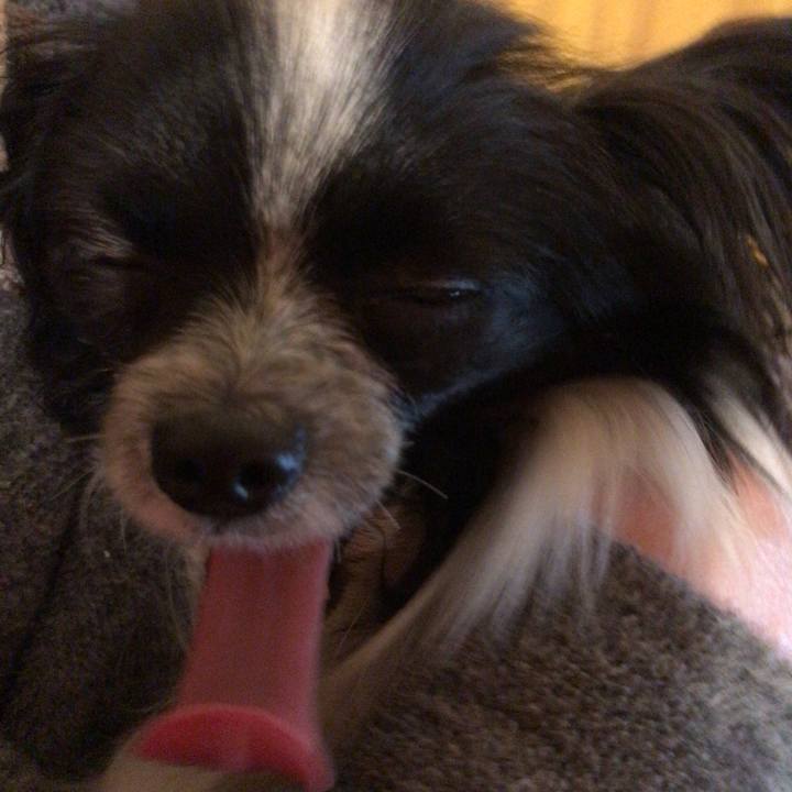 2c50e178 9641 45d5 886e 9c797905640c