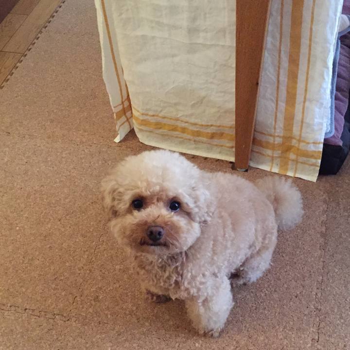 2c50ec23 8236 4cd3 8d02 b7ff43d5d1c7