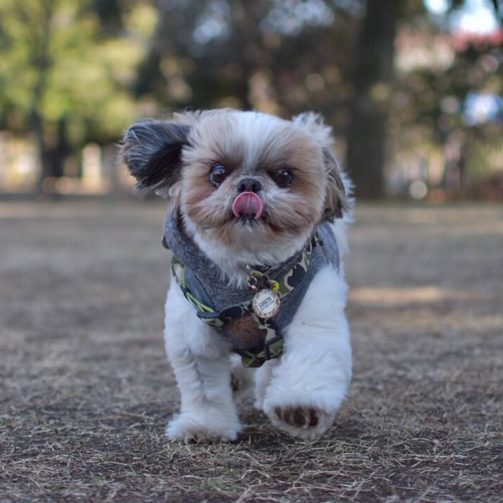 2c511ec4 0935 421c 9924 b3ce9b8f0bf0