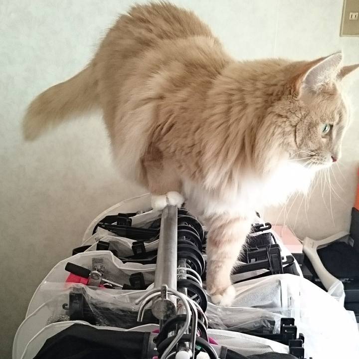 2c518cf5 e685 40e7 82f6 c3da88c9f652