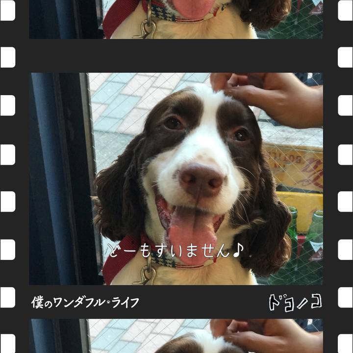 2c51adf3 9384 4131 afa1 6894a20cfb33