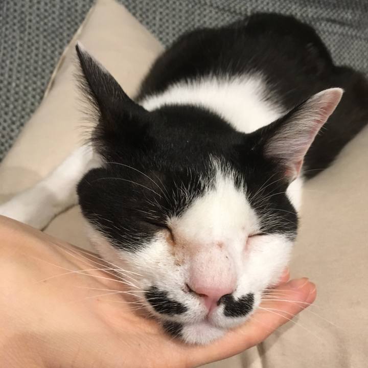 2c521e61 2fa2 4b87 8fd4 92777049b0aa