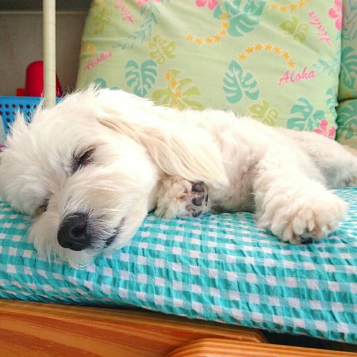 2c52a14e 72b9 4719 8d60 868ec1a76225