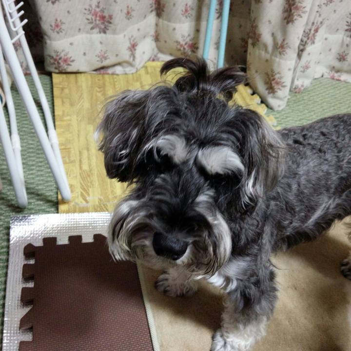 2c5385c4 1eb2 4dc5 b625 9a78a97eccf2