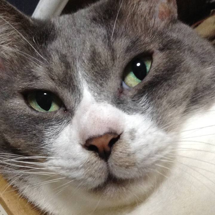 2c539d5b 99c0 4c31 9e62 787cceeb1b92