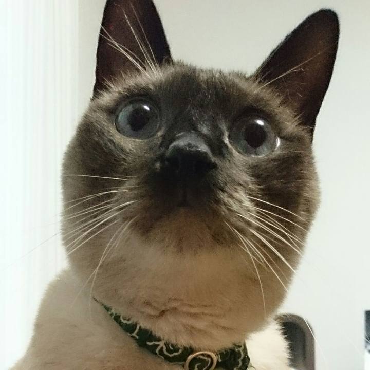 2c53b1f3 13b1 4fbe b256 e9fab8fd01e6