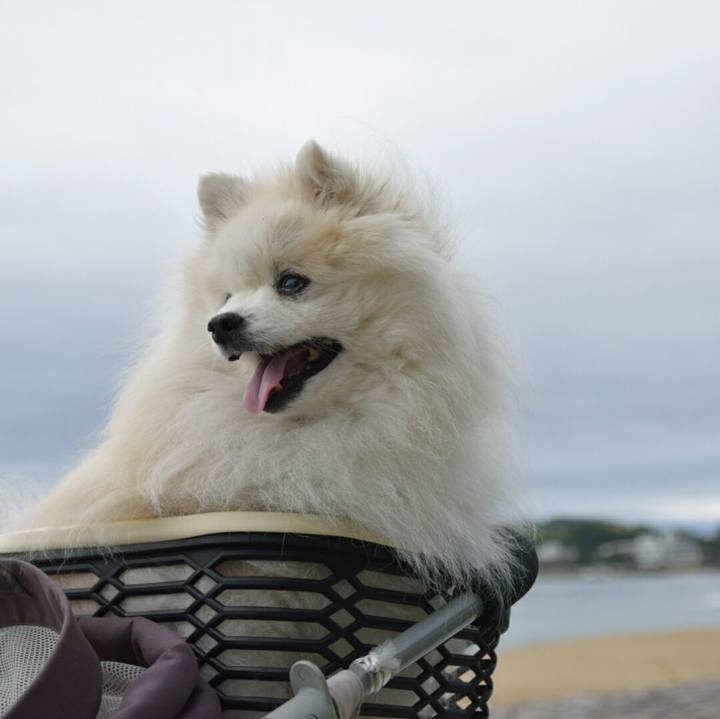 2c543da9 7b7d 4dde 9a06 a18635c2103b