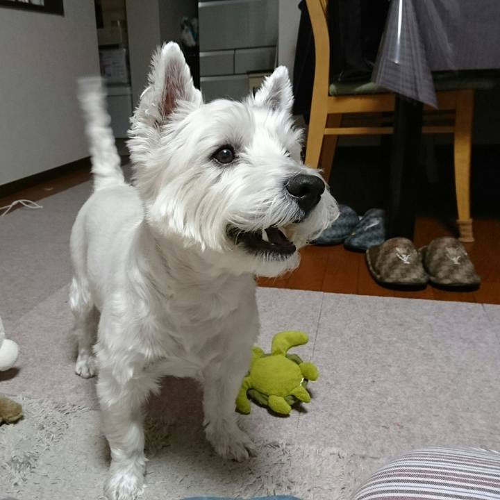 2c554720 7b85 4878 8d26 e72c72a944d0