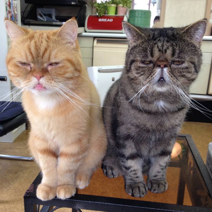 2c555ea1 7bcd 4a94 923a 165110f47338