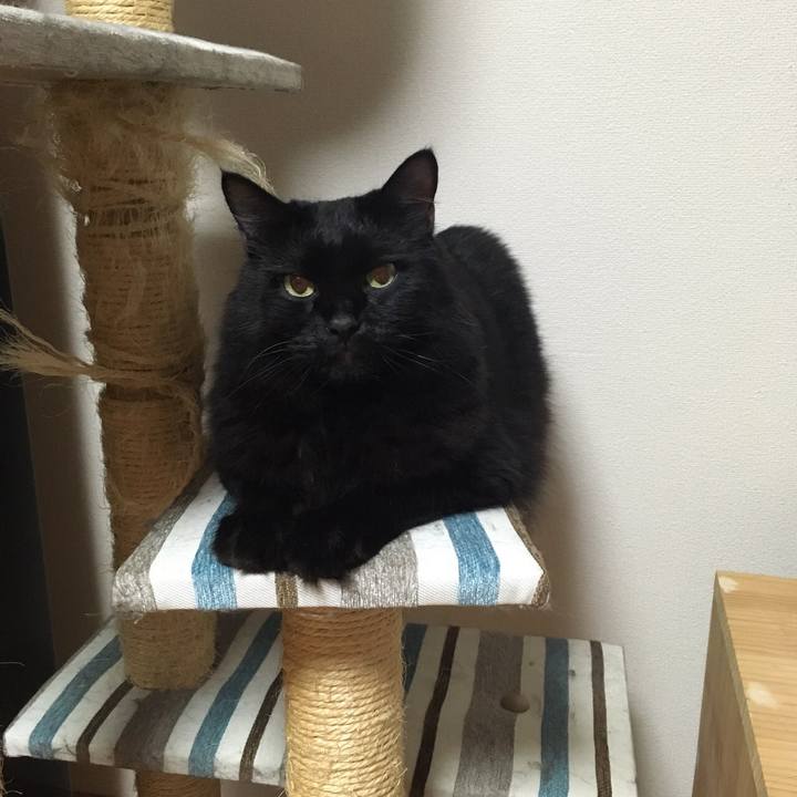 2c55a178 5b50 4c1a 97dc b21d31d9571e