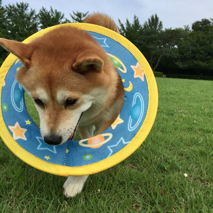 2c56abd2 bd65 47bf 9d10 facce13a9933