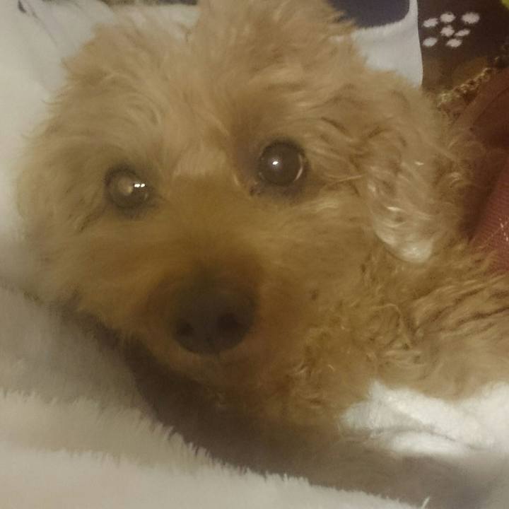 2c56dd8a 12fd 402d 8eac adbeaf7cc623