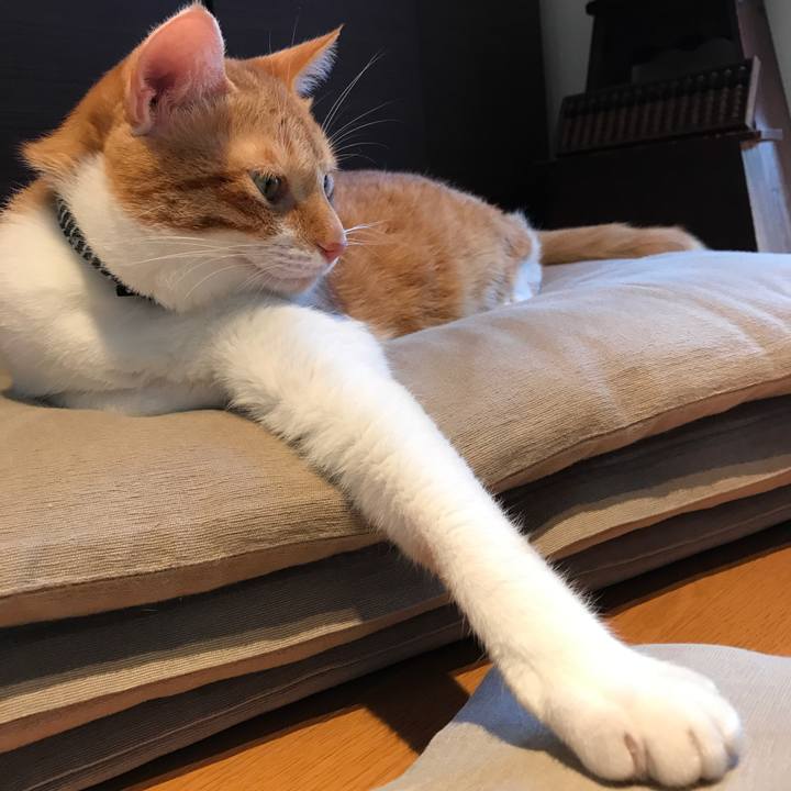 2c56fc40 0376 4e32 9c7d a7486eba8e4c