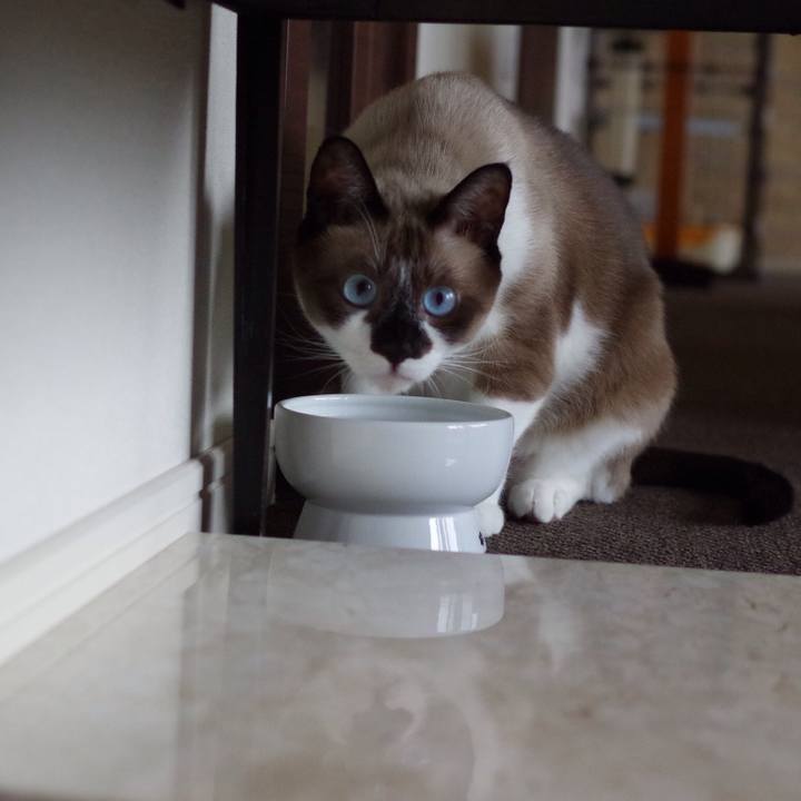 2c57085d e583 4230 a784 158348e358a6