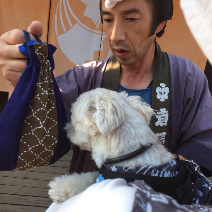 2c5812ec 3d26 4b9f aa26 53d264d6e83b