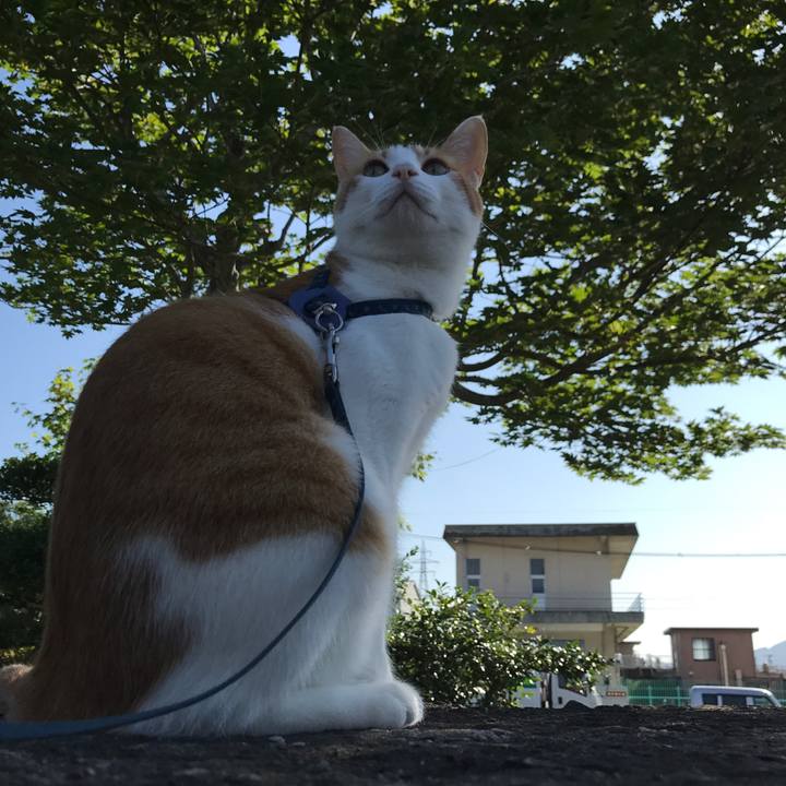 2c583027 8ece 4616 b758 3387944d459b