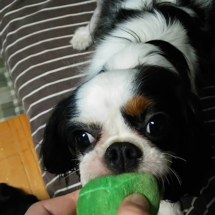 2c5861ad 8ddd 4be7 b23e b5a342afbeb3