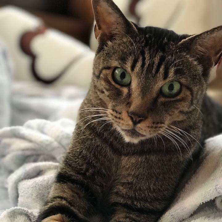 2c58a22c ebd6 4938 b673 a2a3a1ae033c