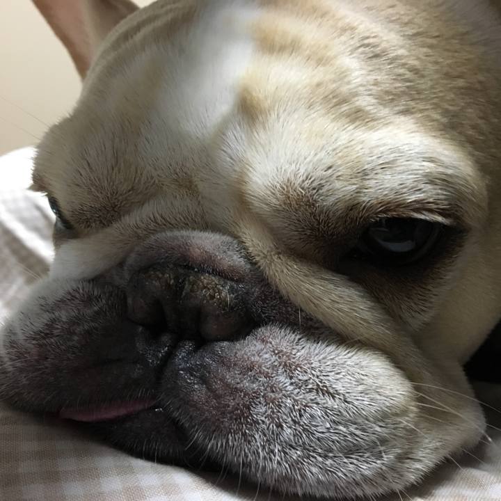 2c58e298 ef2f 4e58 a105 fe805fd89d69