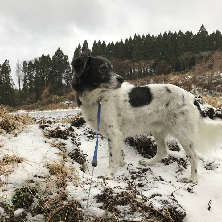 2c58f2ec 8a6c 473d bfcb 82412515f1c1