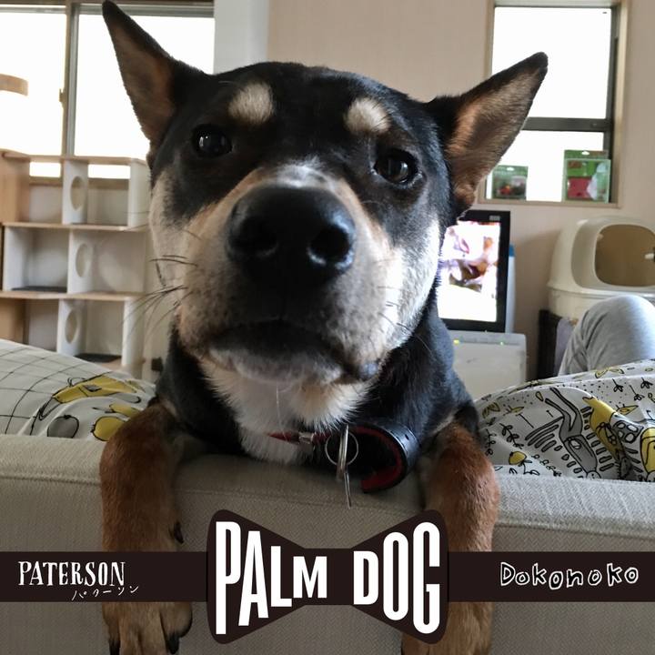 2c591fb5 0fd5 4853 9436 5469542cb493