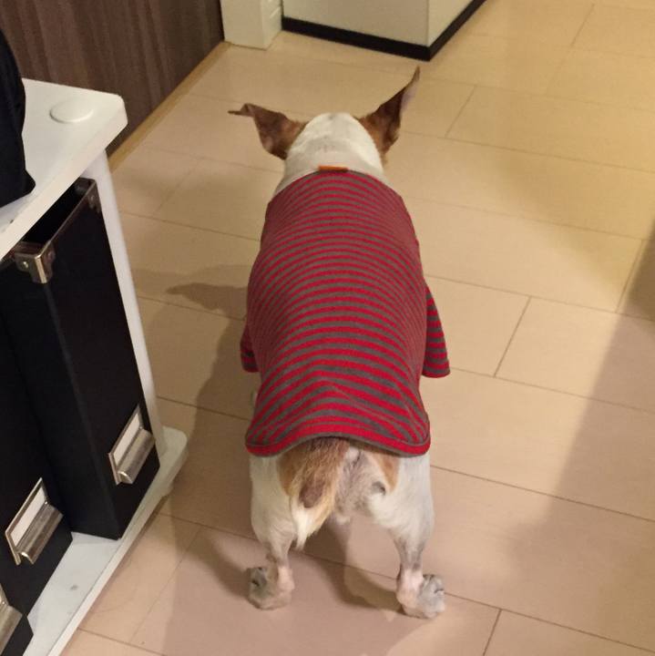 2c595bdb 4823 4352 942d 95db160e1c50