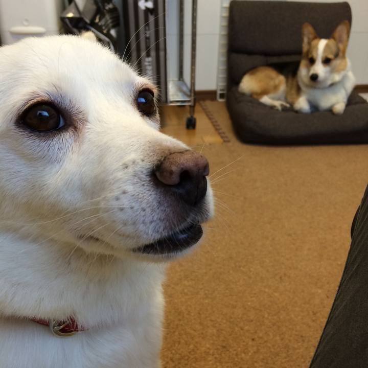 2c59a184 816e 4e6a 9dbb e82b3a6cc1c9