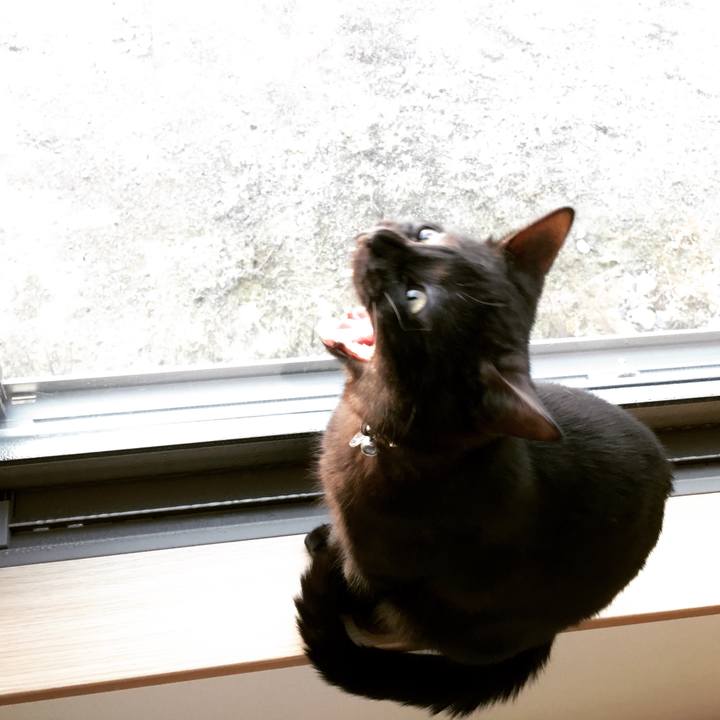 2c59c2f8 1e6e 446c b351 9b75c804a7ae