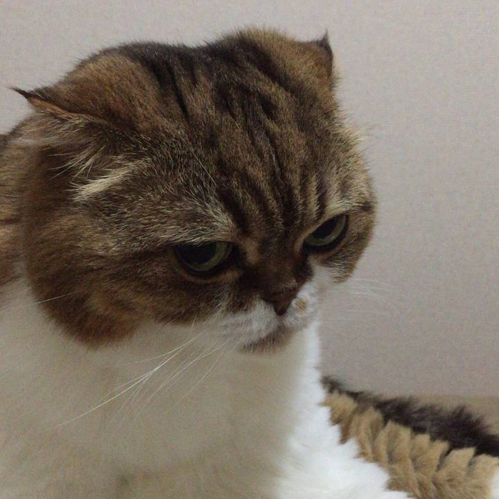 2c5a169f 553e 432f a701 e8e1b237327b