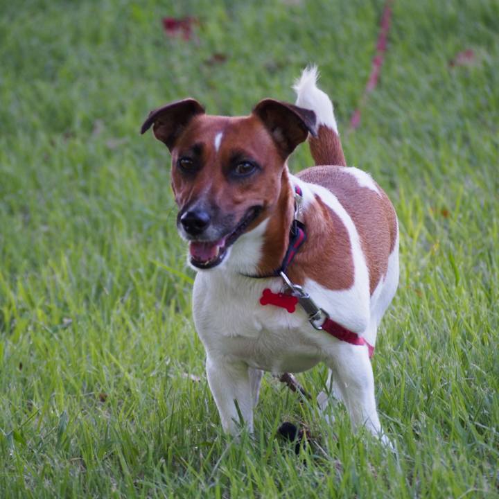 2c5a94e3 d26d 4bbd 8651 356b3d7967b8