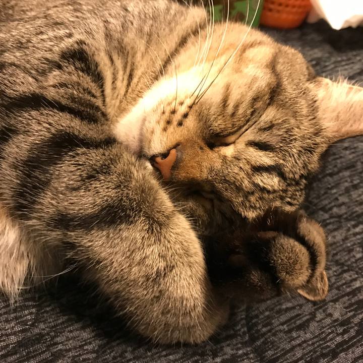 2c5b0449 2fcf 460f 8167 a4cb5e221b10