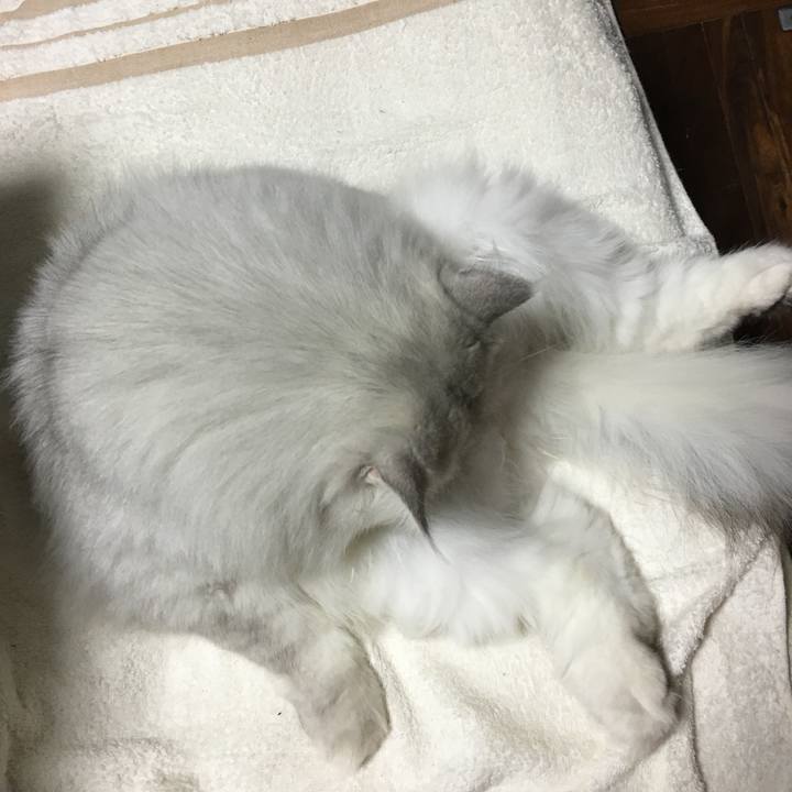 2c5b4bd1 56ad 4f84 9cb2 a0afecd0eaa3