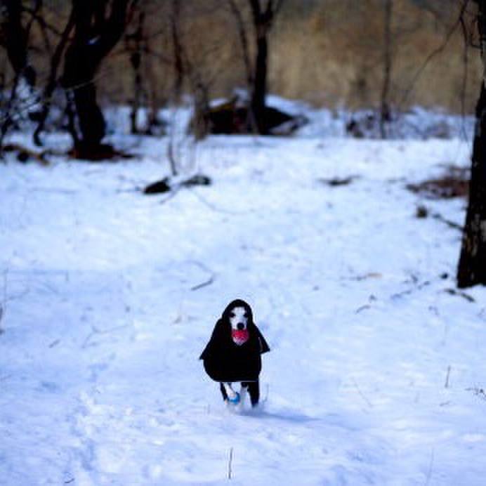 2c5d2155 ede8 4bdc b932 8c3af66386f1