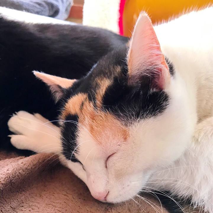 2c5e9baf 40da 46fc b4f0 c44fb82f20fc